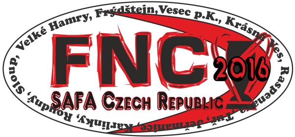 Logo Fire night cup